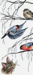 (image for) Birds And A Curious Cat